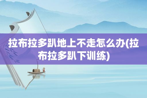 拉布拉多趴地上不走怎么办(拉布拉多趴下训练)