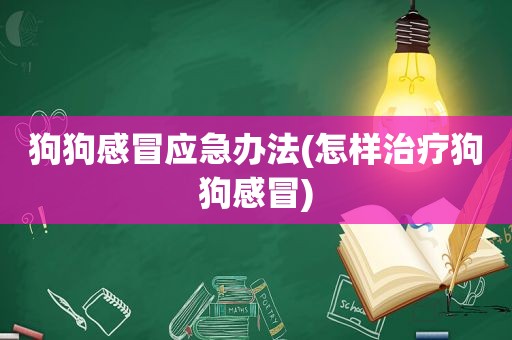 狗狗感冒应急办法(怎样治疗狗狗感冒)