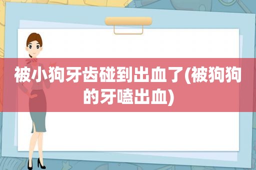 被小狗牙齿碰到出血了(被狗狗的牙嗑出血)