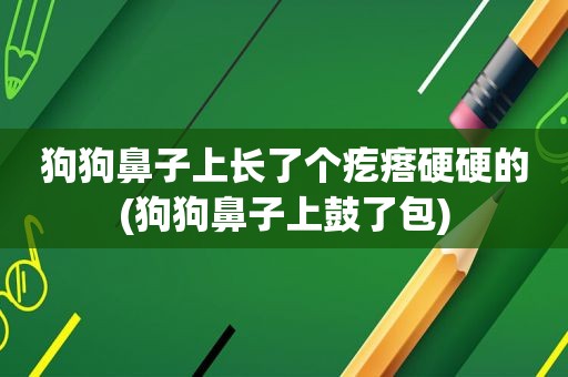 狗狗鼻子上长了个疙瘩硬硬的(狗狗鼻子上鼓了包)