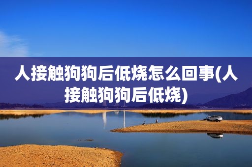 人接触狗狗后低烧怎么回事(人接触狗狗后低烧)
