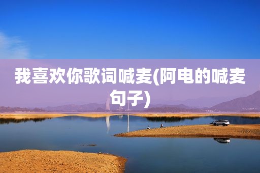 我喜欢你歌词喊麦(阿电的喊麦句子)