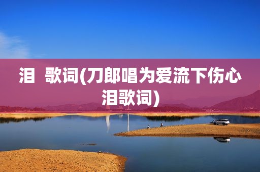 泪  歌词(刀郎唱为爱流下伤心泪歌词)