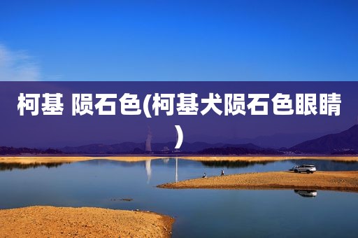 柯基 陨石色(柯基犬陨石色眼睛)