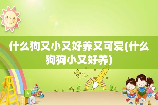 什么狗又小又好养又可爱(什么狗狗小又好养)