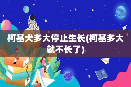 柯基犬多大停止生长(柯基多大就不长了)