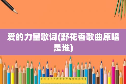 爱的力量歌词(野花香歌曲原唱是谁)