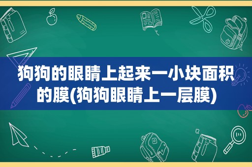 狗狗的眼睛上起来一小块面积的膜(狗狗眼睛上一层膜)