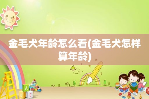 金毛犬年龄怎么看(金毛犬怎样算年龄)