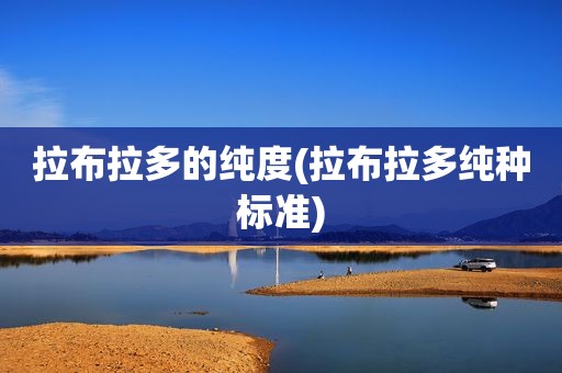 拉布拉多的纯度(拉布拉多纯种标准)