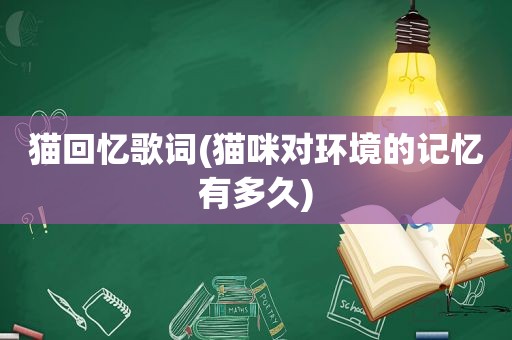 猫回忆歌词(猫咪对环境的记忆有多久)