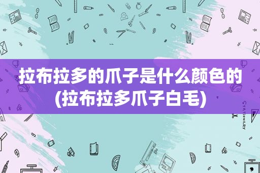拉布拉多的爪子是什么颜色的(拉布拉多爪子白毛)
