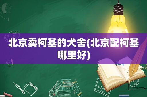 北京卖柯基的犬舍(北京配柯基哪里好)