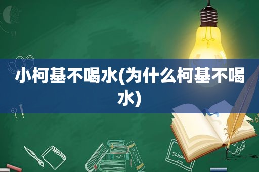 小柯基不喝水(为什么柯基不喝水)
