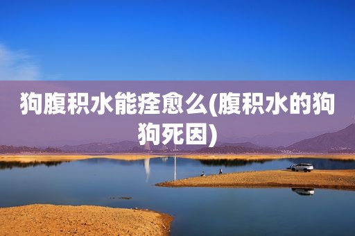 狗腹积水能痊愈么(腹积水的狗狗死因)