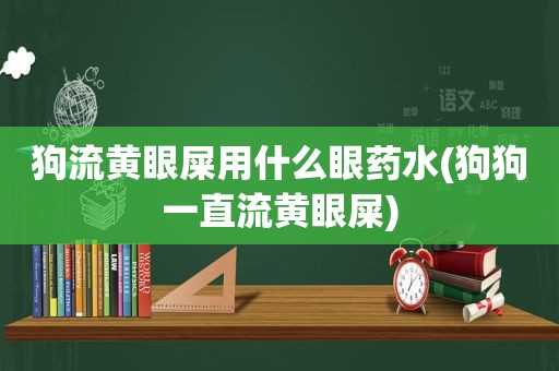 狗流黄眼屎用什么眼药水(狗狗一直流黄眼屎)