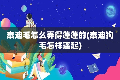 泰迪毛怎么弄得蓬蓬的(泰迪狗毛怎样蓬起)