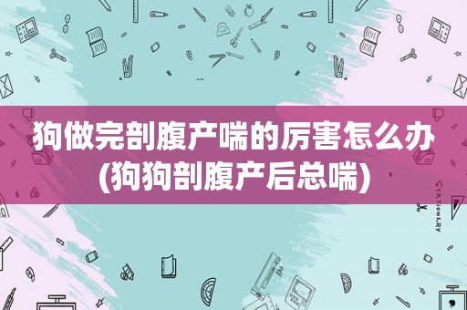 狗做完剖腹产喘的厉害怎么办(狗狗剖腹产后总喘)