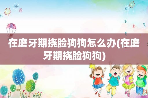 在磨牙期挠脸狗狗怎么办(在磨牙期挠脸狗狗)