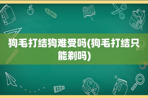 狗毛打结狗难受吗(狗毛打结只能剃吗)