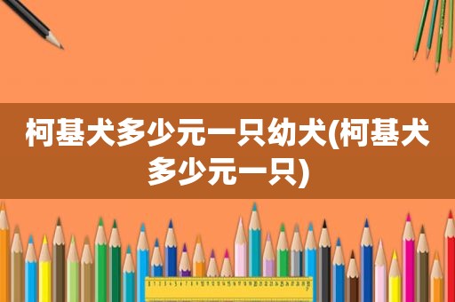 柯基犬多少元一只幼犬(柯基犬多少元一只)