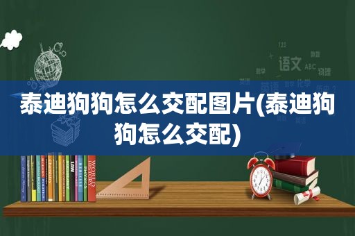 泰迪狗狗怎么交配图片(泰迪狗狗怎么交配)