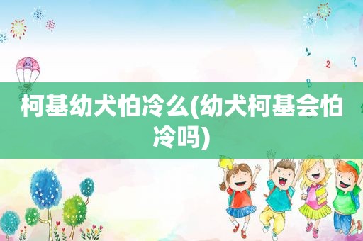 柯基幼犬怕冷么(幼犬柯基会怕冷吗)