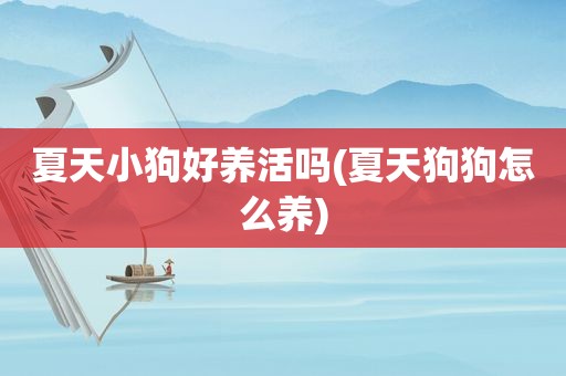 夏天小狗好养活吗(夏天狗狗怎么养)