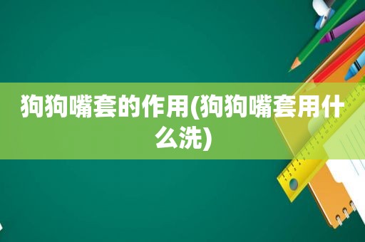狗狗嘴套的作用(狗狗嘴套用什么洗)