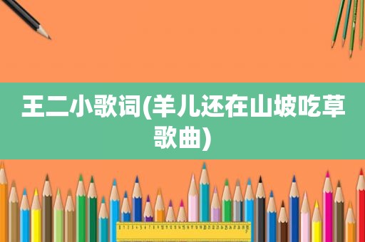 王二小歌词(羊儿还在山坡吃草歌曲)