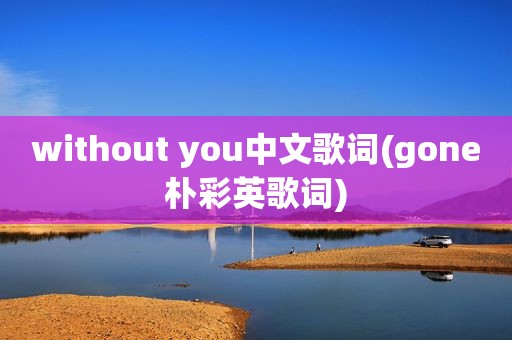 without you中文歌词(gone朴彩英歌词)