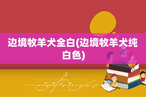 边境牧羊犬全白(边境牧羊犬纯白色)