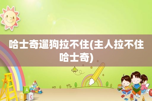 哈士奇遛狗拉不住(主人拉不住哈士奇)