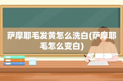 萨摩耶毛发黄怎么洗白(萨摩耶毛怎么变白)