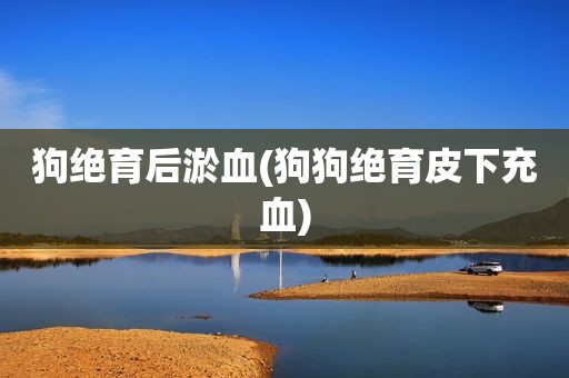 狗绝育后淤血(狗狗绝育皮下充血)