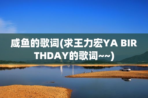 咸鱼的歌词(求王力宏YA BIRTHDAY的歌词~~)