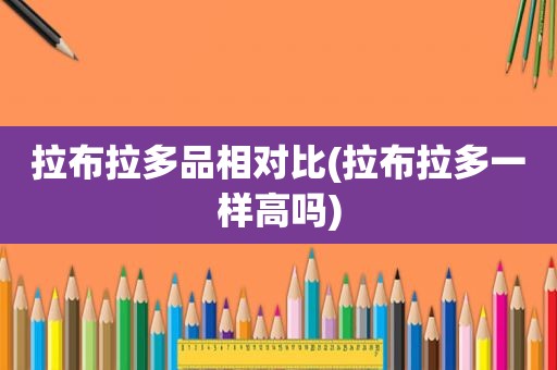 拉布拉多品相对比(拉布拉多一样高吗)
