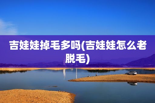 吉娃娃掉毛多吗(吉娃娃怎么老脱毛)