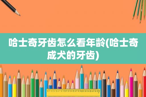 哈士奇牙齿怎么看年龄(哈士奇成犬的牙齿)