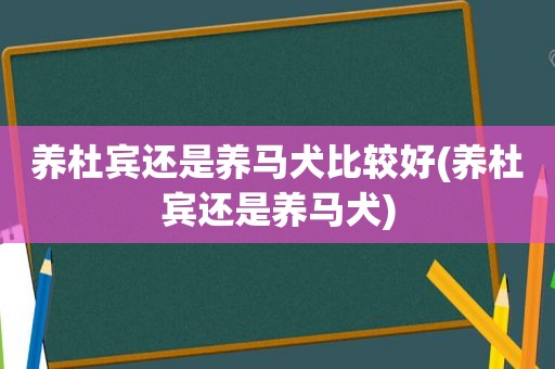 养杜宾还是养马犬比较好(养杜宾还是养马犬)