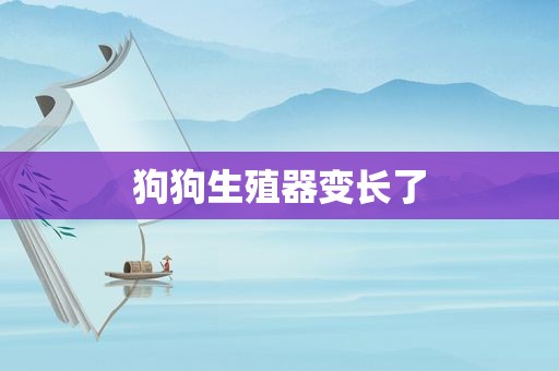 狗狗生殖器变长了