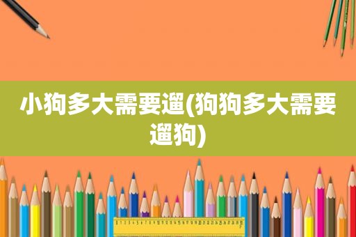 小狗多大需要遛(狗狗多大需要遛狗)