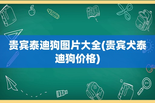 贵宾泰迪狗图片大全(贵宾犬泰迪狗价格)
