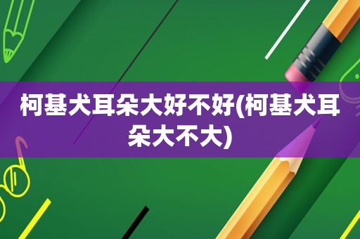 柯基犬耳朵大好不好(柯基犬耳朵大不大)