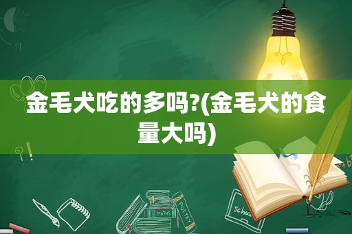 金毛犬吃的多吗?(金毛犬的食量大吗)  第1张