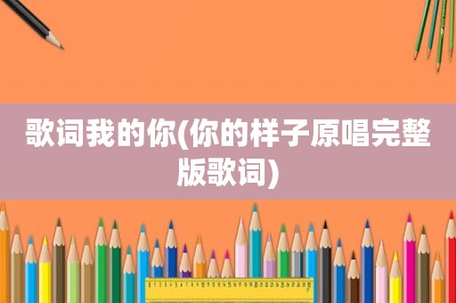 歌词我的你(你的样子原唱完整版歌词)