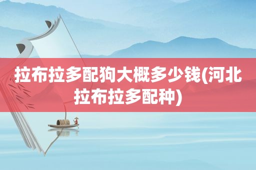 拉布拉多配狗大概多少钱(河北拉布拉多配种)