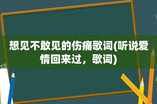 想见不敢见的伤痛歌词(听说爱情回来过，歌词)  第1张
