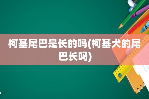 柯基尾巴是长的吗(柯基犬的尾巴长吗)  第1张