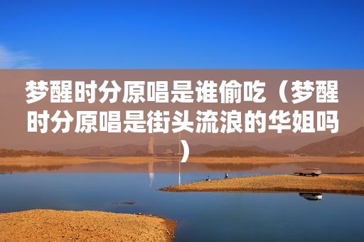 梦醒时分原唱是谁偷吃（梦醒时分原唱是街头流浪的华姐吗）